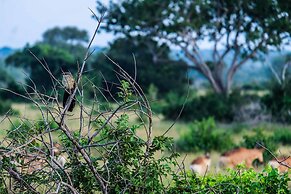 Saadani Safari Lodge - bush, river, beach