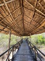 Saadani Safari Lodge - bush, river, beach