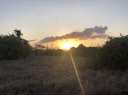 Saadani Safari Lodge - bush, river, beach