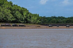 Saadani Safari Lodge - bush, river, beach