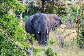 Saadani Safari Lodge - bush, river, beach