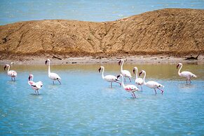 Saadani Safari Lodge - bush, river, beach