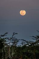 Saadani Safari Lodge - bush, river, beach