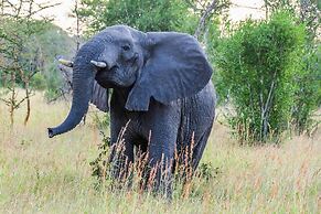 Saadani Safari Lodge - bush, river, beach