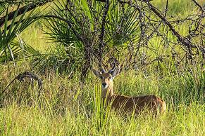 Saadani Safari Lodge - bush, river, beach