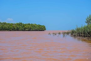 Saadani Safari Lodge - bush, river, beach