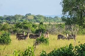 Saadani Safari Lodge - bush, river, beach