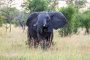 Saadani Safari Lodge - bush, river, beach