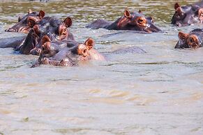 Saadani Safari Lodge - bush, river, beach