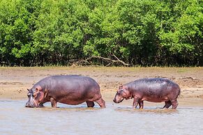 Saadani Safari Lodge - bush, river, beach