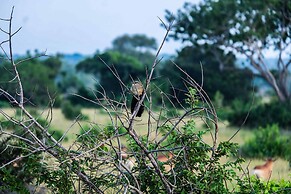 Saadani Safari Lodge - bush, river, beach