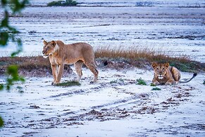 Saadani Safari Lodge - bush, river, beach