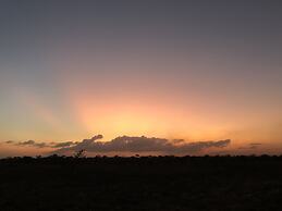 Saadani Safari Lodge - bush, river, beach