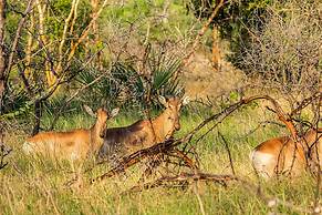 Saadani Safari Lodge - bush, river, beach