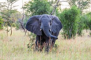 Saadani Safari Lodge - bush, river, beach