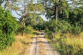 Saadani Safari Lodge - bush, river, beach