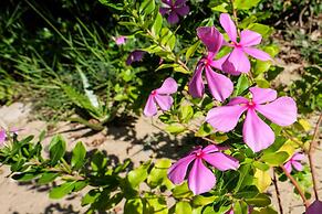 Saadani Safari Lodge - bush, river, beach
