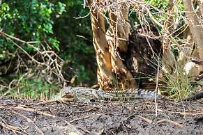 Saadani Safari Lodge - bush, river, beach