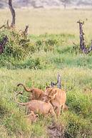 Saadani Safari Lodge - bush, river, beach