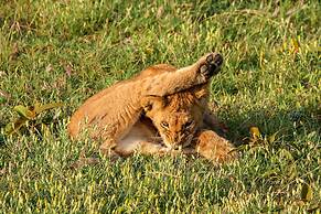 Saadani Safari Lodge - bush, river, beach