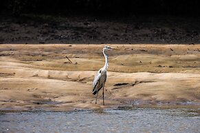 Saadani Safari Lodge - bush, river, beach