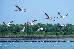 Saadani Safari Lodge - bush, river, beach