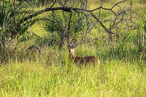 Saadani Safari Lodge - bush, river, beach