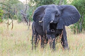 Saadani Safari Lodge - bush, river, beach