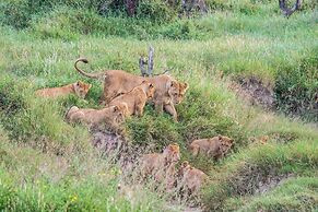 Saadani Safari Lodge - bush, river, beach