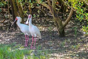 Saadani Safari Lodge - bush, river, beach