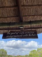 Saadani Safari Lodge - bush, river, beach