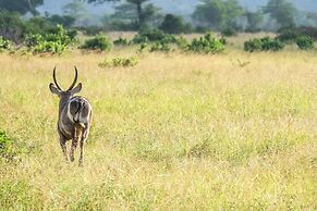 Saadani Safari Lodge - bush, river, beach