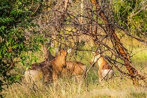 Saadani Safari Lodge - bush, river, beach