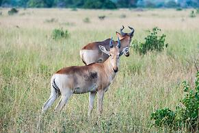 Saadani Safari Lodge - bush, river, beach