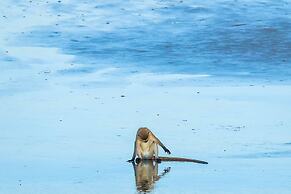 Saadani Safari Lodge - bush, river, beach