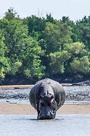 Saadani Safari Lodge - bush, river, beach