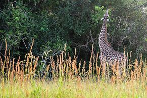 Saadani Safari Lodge - bush, river, beach