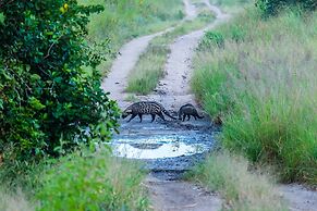 Saadani Safari Lodge - bush, river, beach
