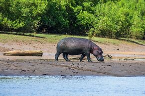Saadani Safari Lodge - bush, river, beach