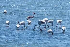 Saadani Safari Lodge - bush, river, beach