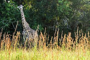 Saadani Safari Lodge - bush, river, beach