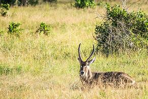 Saadani Safari Lodge - bush, river, beach