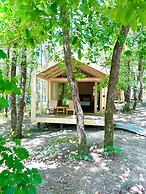 Longosphere Glamping