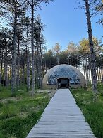 Longosphere Glamping