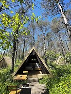 Longosphere Glamping
