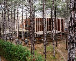 Longosphere Glamping