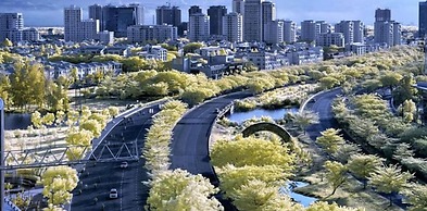 Jack Apartment Signature