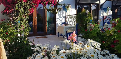 Elena's Seaside Holiday House