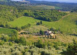 Charming Vineyard Escape
