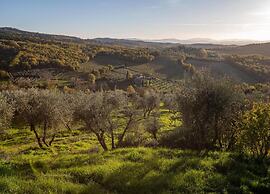 Charming Vineyard Escape